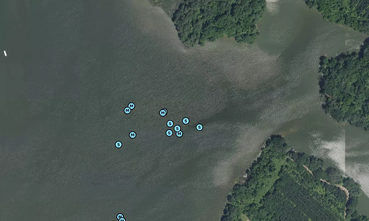 Satelite image of Bigwood Cove