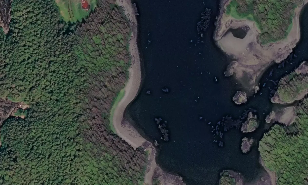 Satelite image of Bingham Cove