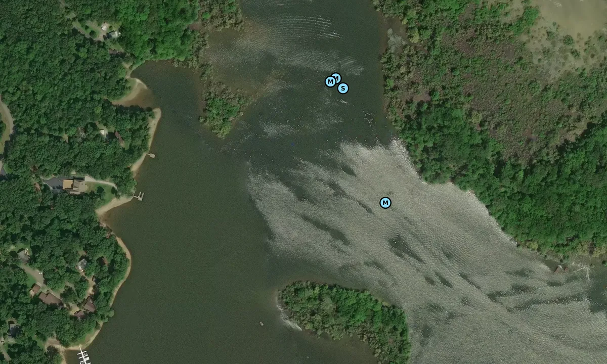 Satelite image of Birdsong Creek - 2