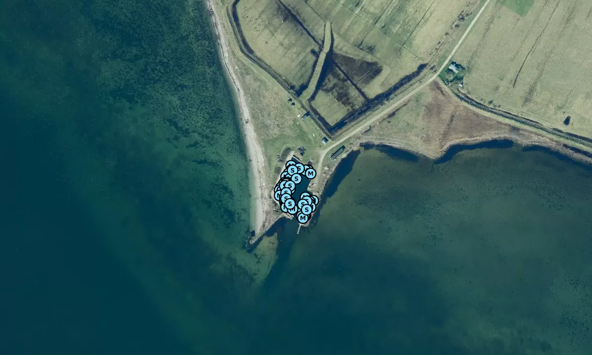 Satelite image of Birkholm
