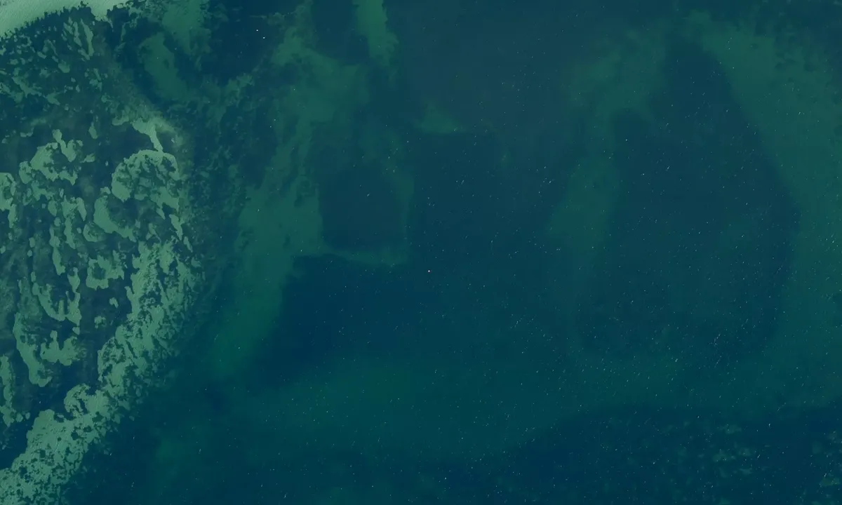 Satelite image of Bisserup Strand bouy