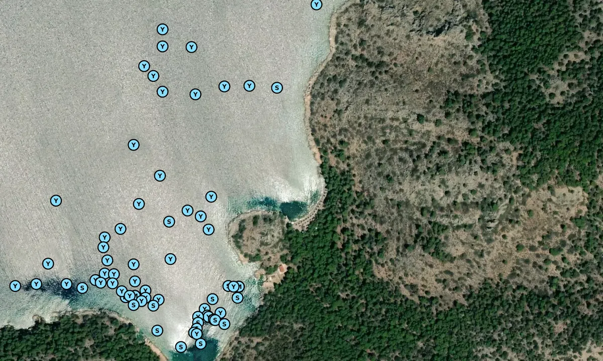 Satelite image of Bisti Beach
