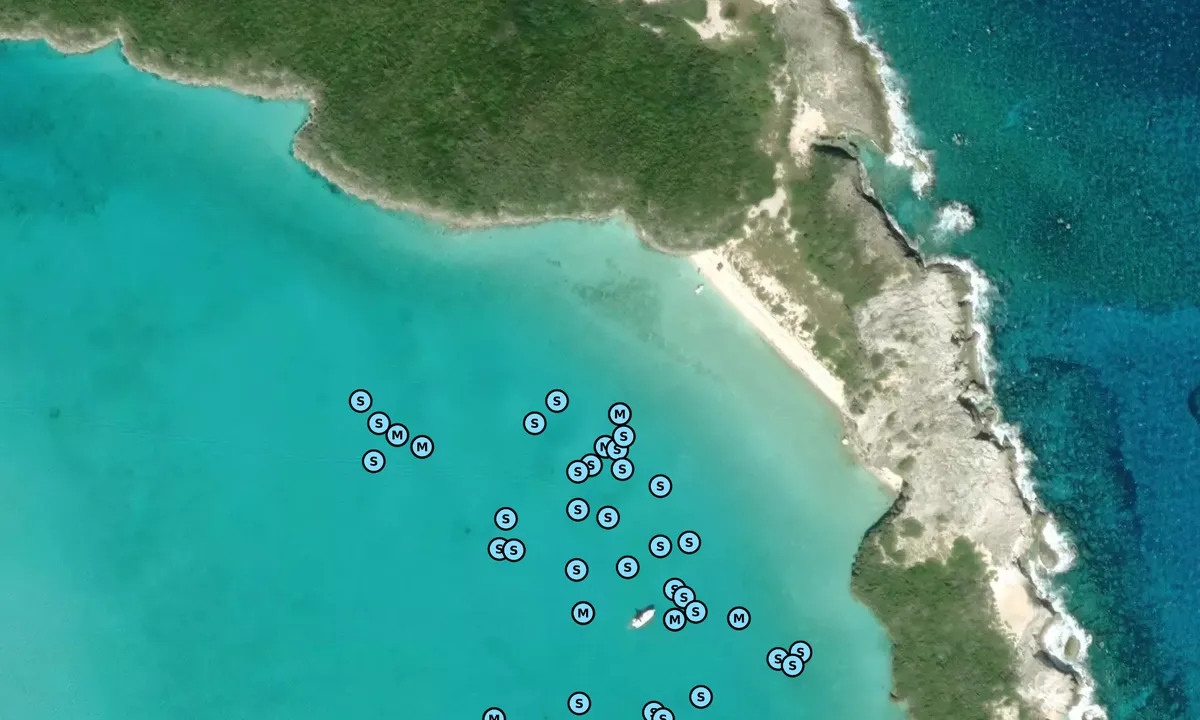 Satelite image of Bitter Guana Cay