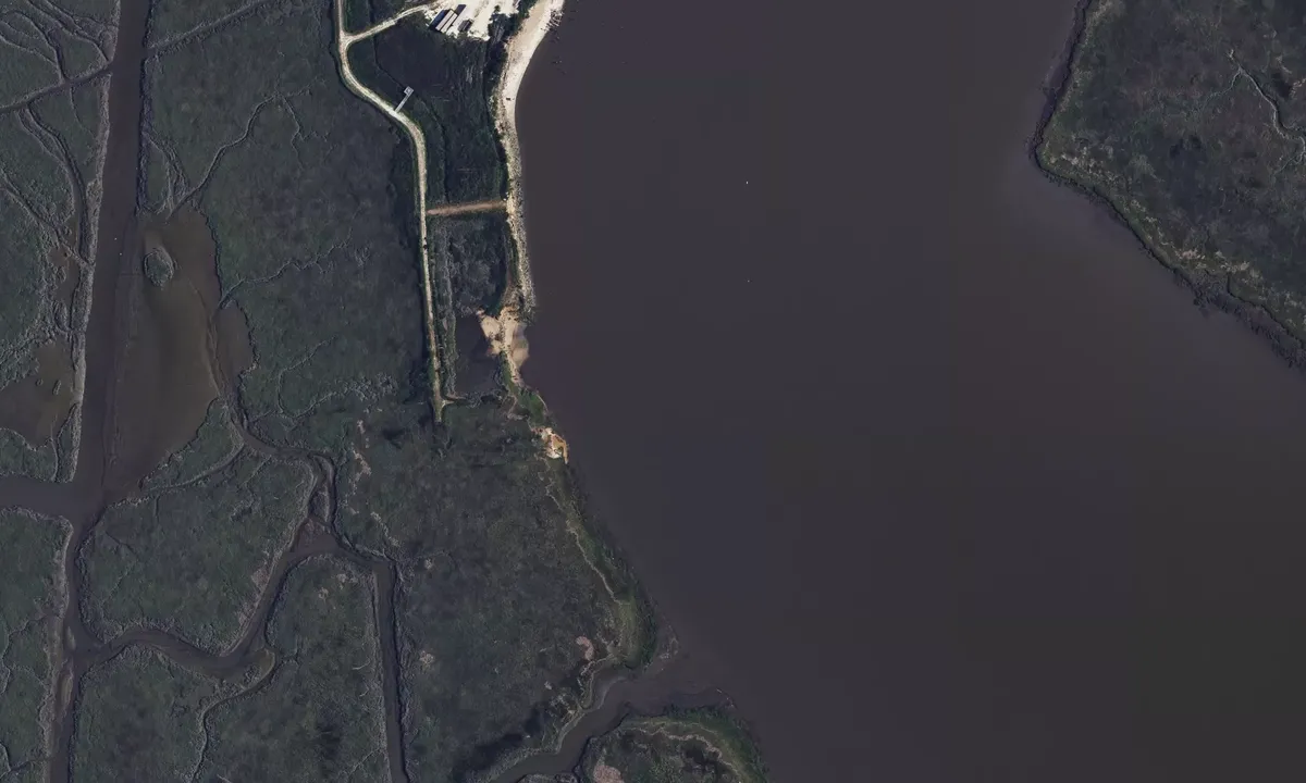 Satelite image of Bivalve