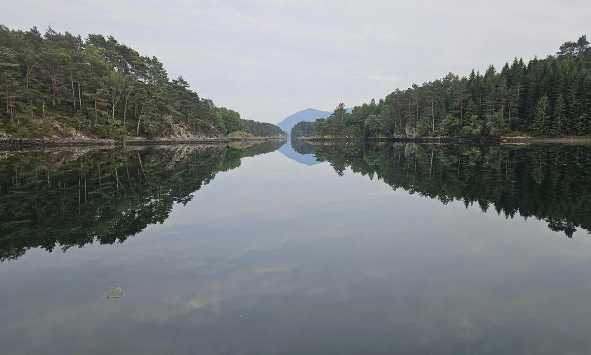 Bjøllebøvågen
