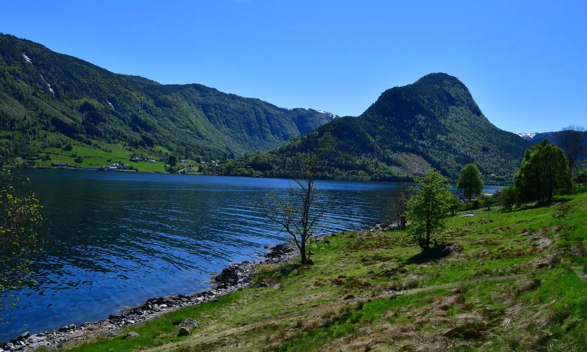 {"base": "en", "no": "Ser mot Bjordal havn fra andre siden av fjorden", "se": "Tittar mot Bjordal hamn fr\u00e5n andra sidan av fjorden", "en": "Looking towards Bjordal harbour from other side of fjord", "da": "Kigger mod Bjordal havn fra den anden side af fjorden"}