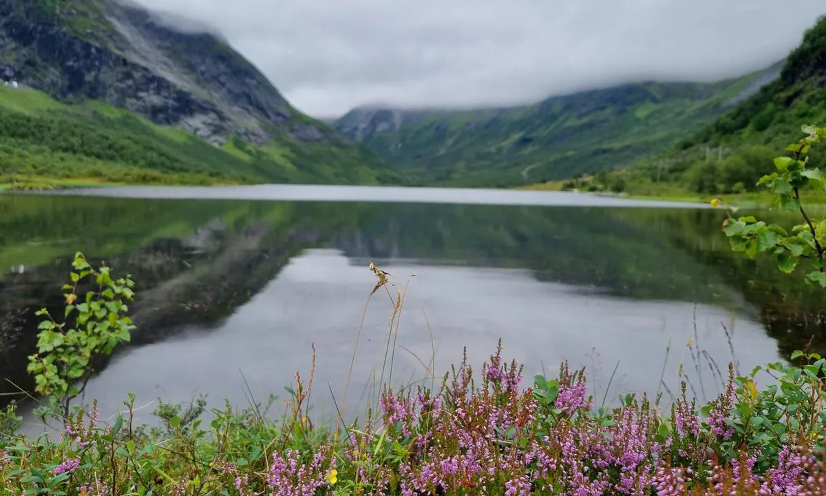 Bjørke Gjestehavn: Bakkedalsvatnet, fint å sykle hit om en har med sykler. Fine turer i fjellet herfra.