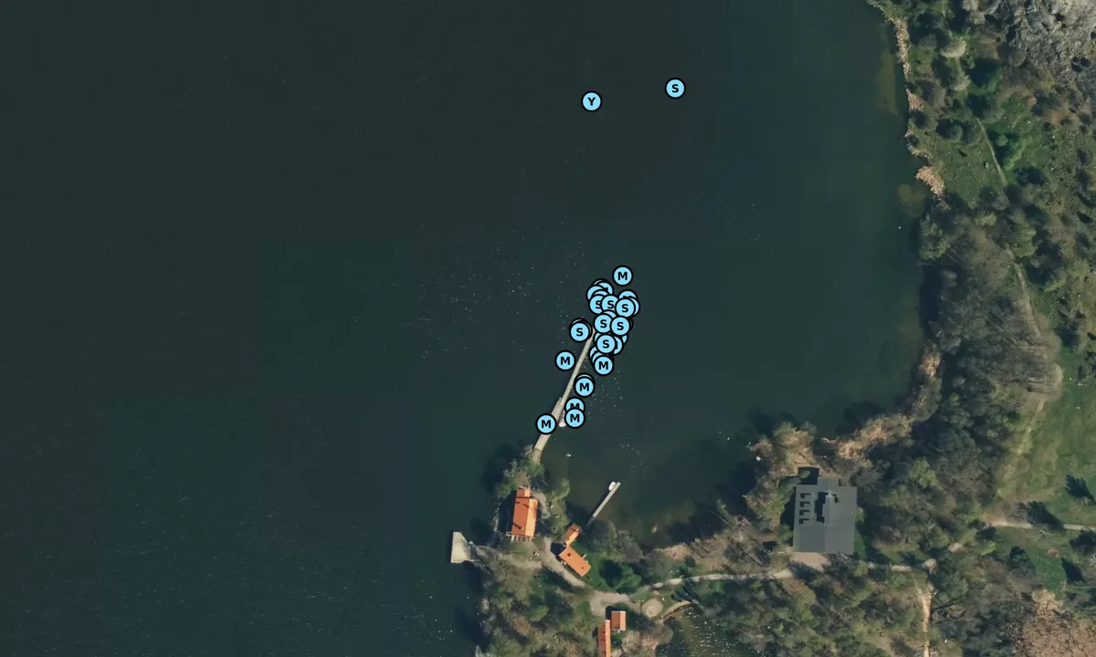 Satelite image of Björkö - Birka