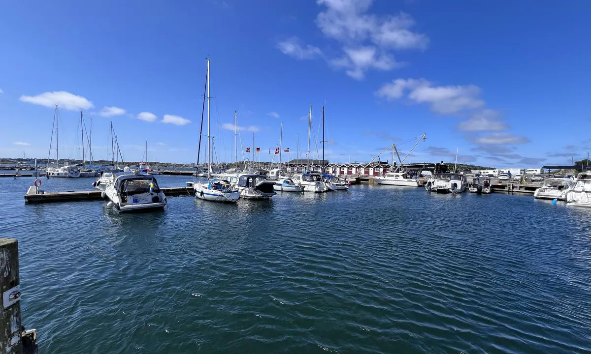Björkö - Fiskehamnen: {"base": "no", "no": "Oversikt over b\u00e5tplasser som prim\u00e6rt fort\u00f8yes til akterb\u00f8yer eller moringstau", "se": "\u00d6versikt \u00f6ver b\u00e5tplatser som prim\u00e4rt f\u00f6rt\u00f6js med akterbojar eller f\u00f6rt\u00f6jningsrep", "en": "Overview of berths primarily secured to stern buoys or mooring lines", "da": "Oversigt over b\u00e5dpladser som prim\u00e6rt fort\u00f8jes til agterb\u00f8jer eller mooring-tov"}