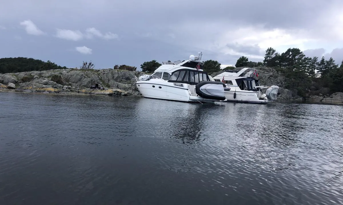 Bjørkøy: {"base": "no", "no": "Disse har lagt seg helt innerst mot odden p\u00e5 styrbord side. Her er det gode plasser \u00e5 f\u00e5 ned noen bergkiler.", "se": "Dessa har lagt sig l\u00e4ngst in mot udden p\u00e5 styrbordssidan. H\u00e4r finns bra platser att f\u00e5 ner n\u00e5gra bergkilar.", "en": "These have settled all the way in towards the point on the starboard side. Here, there are good spots to secure some rock wedges.", "da": "Disse har lagt sig helt inderst mod odden p\u00e5 styrbord side. Her er der gode pladser til at f\u00e5 nogle bjergkiler ned."}