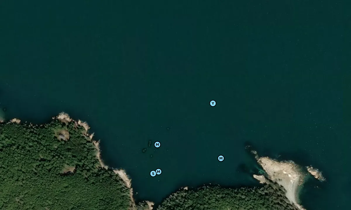 Satelite image of Black Island - Frenchboro