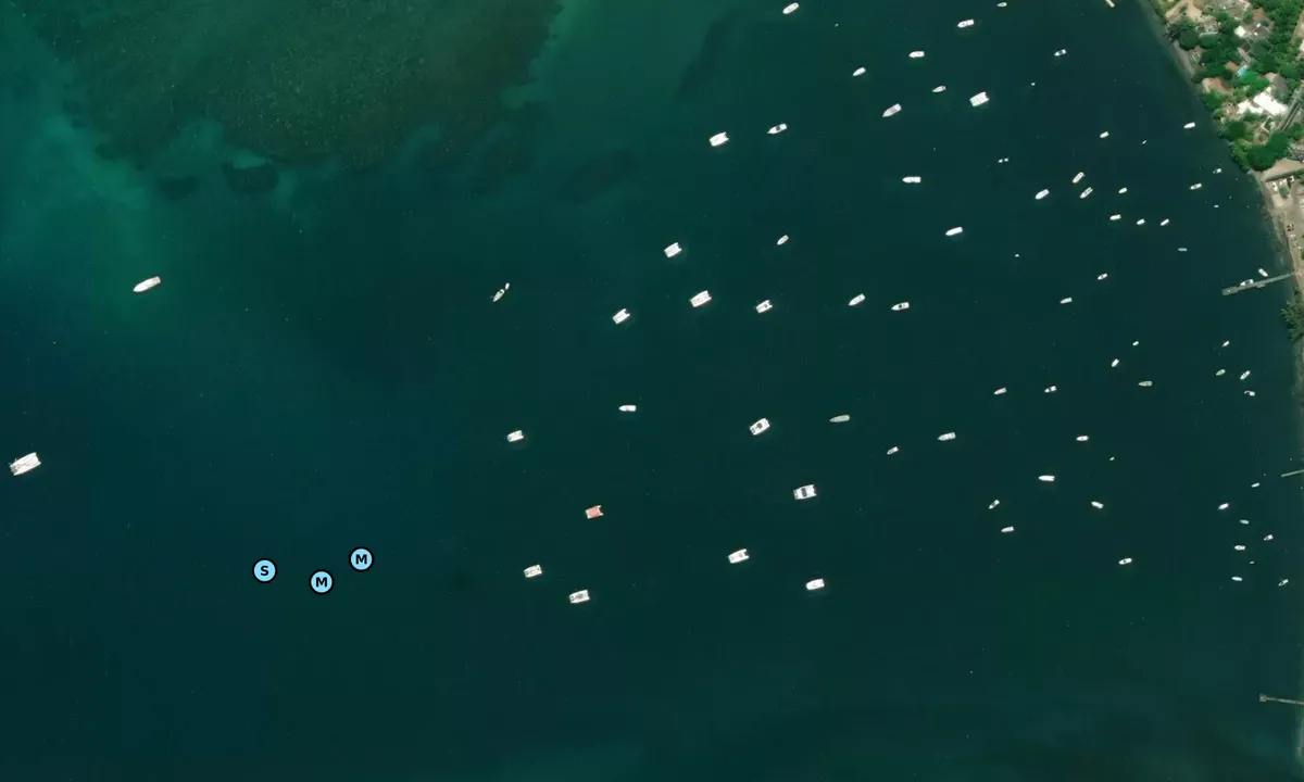 Satelite image of Black River 1