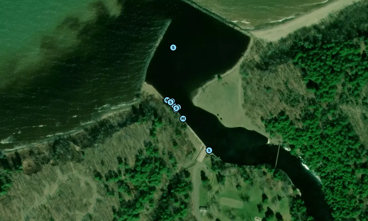 Satelite image of Black River - U.S. National Forest