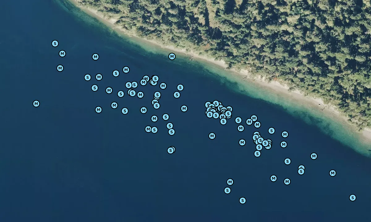 Satelite image of Blake Island South