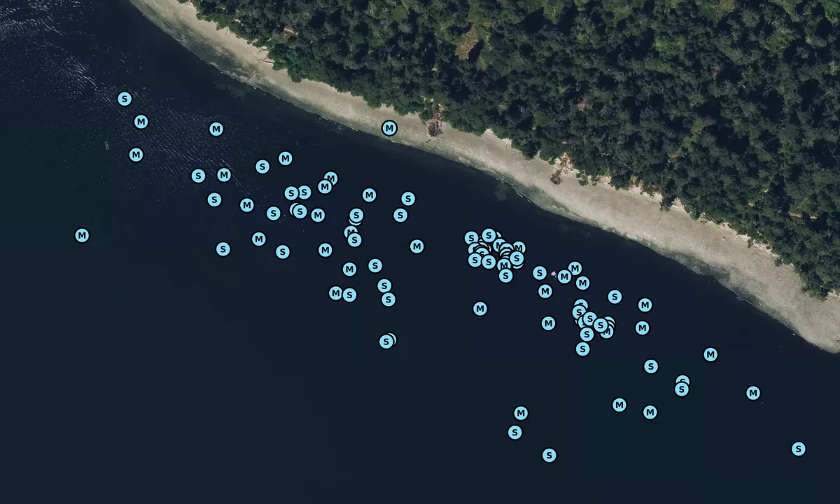 Satelite image of Blake Island South