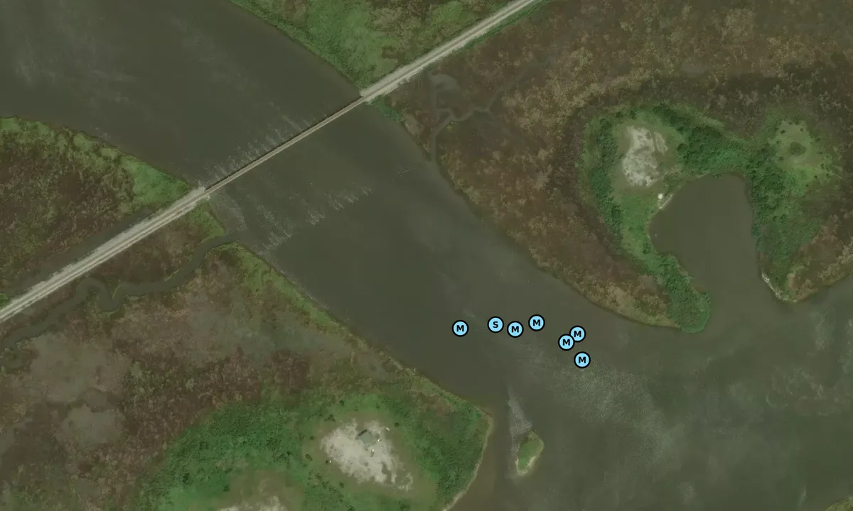Satelite image of Blind Rigolets