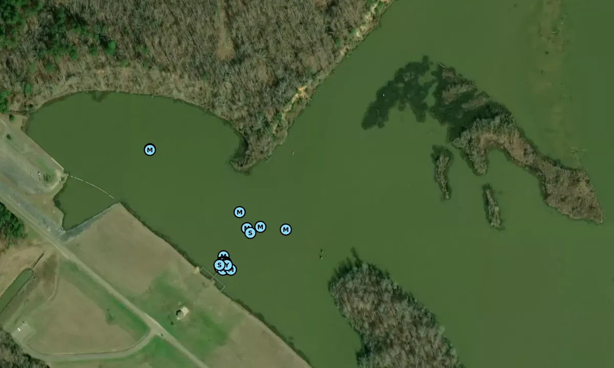 Satelite image of Blue Bluff - 1