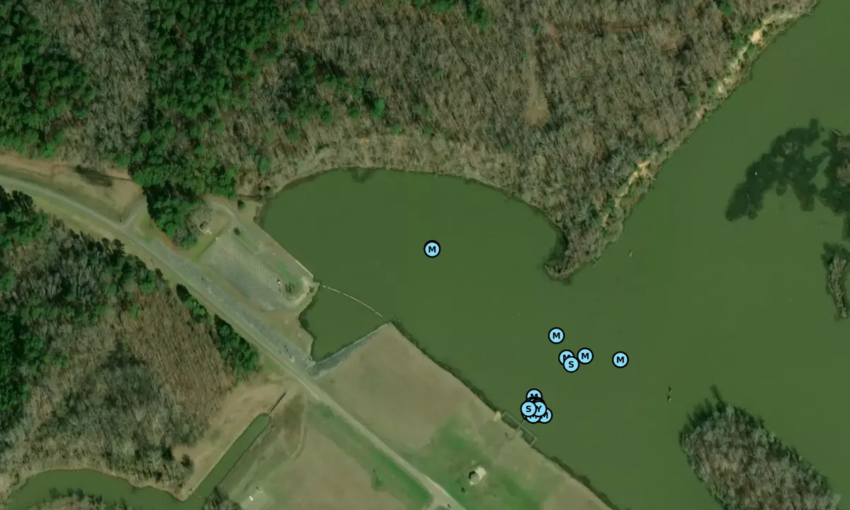 Satelite image of Blue Bluff - 2