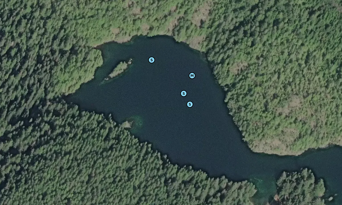 Satelite image of Blue Lips Cove