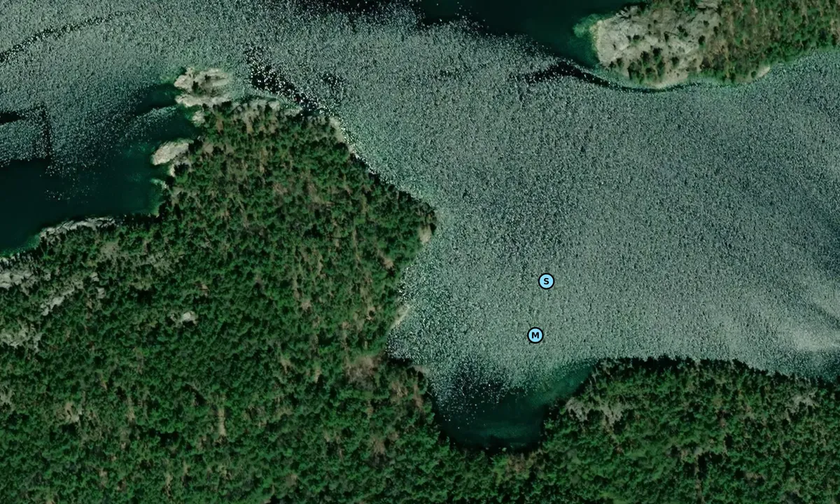 Satelite image of Blueberry Island West - 1