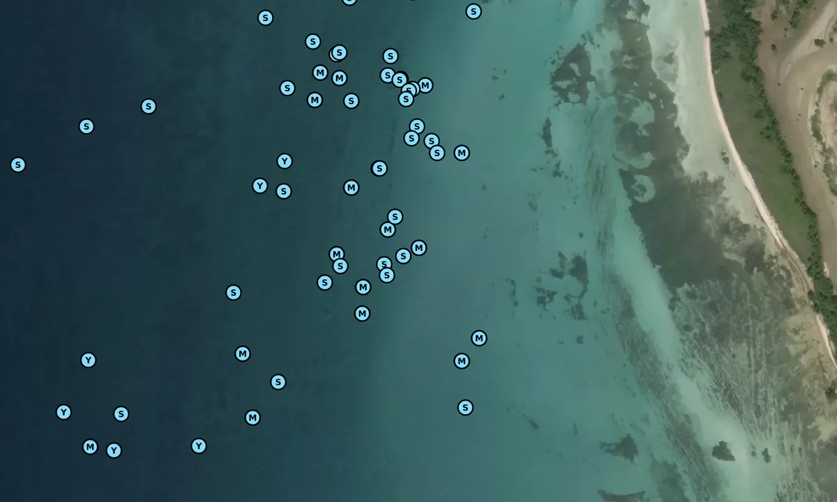 Satelite image of Boca Grande - 2