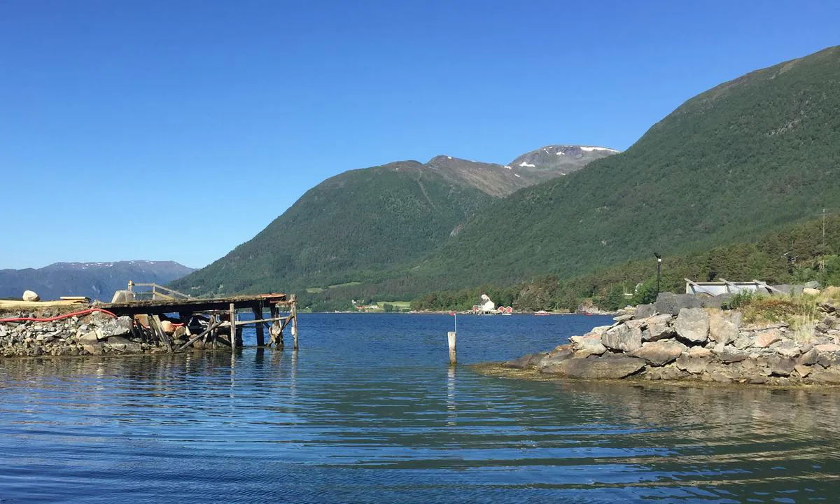 Bøfjorden Småbåthavn: {"base": "no", "no": "Innl\u00f8pet til havna.\r\nHer er det lite vann ved lavvann, ca 1,7 mtr.", "se": "Inloppet till hamnen.<br>H\u00e4r \u00e4r det lite vatten vid l\u00e5gvatten, ca 1,7 m.", "en": "The entrance to the harbor. There is little water at low tide, approximately 1.7 meters.", "da": "Indl\u00f8bet til havnen.<br>Her er der lidt vand ved lavvande, ca. 1,7 m."}
