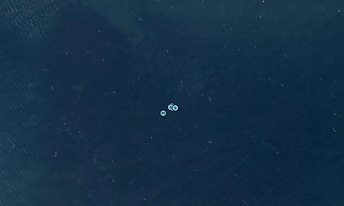 Satelite image of Bogø nord - Skåninge Bro bouy