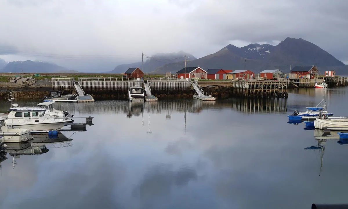 Bolga Gjestehavn: {"base": "no", "no": "2 flytebrygger til benyttelse i en rolig havn.", "se": "2 flytbryggor till anv\u00e4ndning i en lugn hamn.", "en": "2 floating docks for use in a calm harbor.", "da": "2 flydebroer til benyttelse i en rolig havn."}