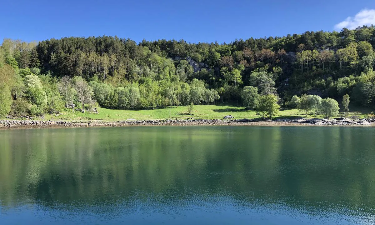 I Bolvågen ligger du tett på frodige gressletter med beitende lamaer. Det er også sitteplasser inne på land.