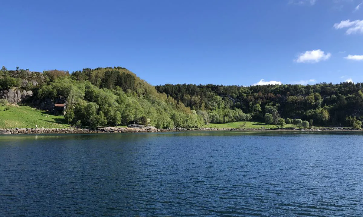 Bolvågen: {"base": "no", "no": "Skogen og beiteomr\u00e5dene strekker seg godt utover.", "se": "Skogen och betesmarkerna str\u00e4cker sig l\u00e5ngt ut.", "en": "The forest and grazing areas extend significantly outward.", "da": "Skoven og gr\u00e6sningsomr\u00e5derne str\u00e6kker sig langt ud."}