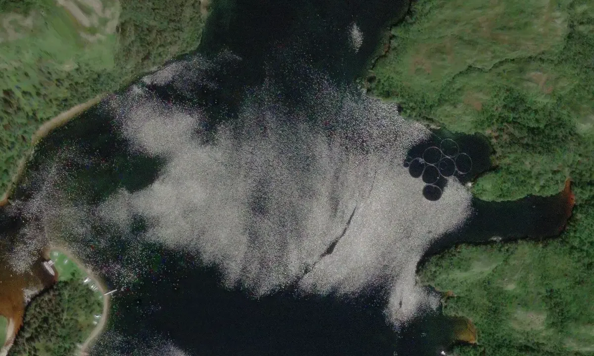 Satelite image of Bonnie Bay North