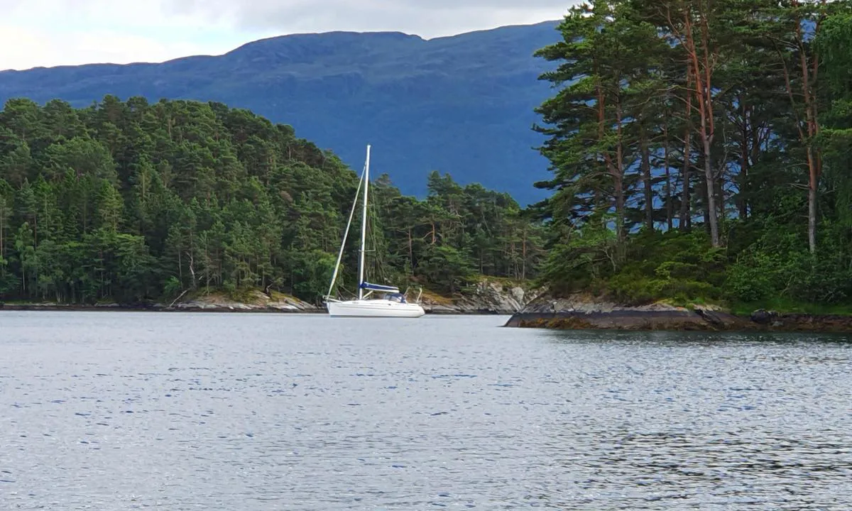 Borgundøy: {"base": "no", "no": "B\u00e5ten ligger i en av to ankringsfelt i bukten. Innseiling ligger bak hekken. Godt beskyttet mot vind fra nesten alle retninger.\r\nFlott omgivelser men ikke noe strand eller aktivitetsmuligheter som jeg har funnet", "se": "B\u00e5ten ligger i en av tv\u00e5 ankringsf\u00e4lt i bukten. Inseglingen ligger bakom aktern. V\u00e4l skyddad mot vind fr\u00e5n n\u00e4stan alla riktningar. Vackra omgivningar men ingen strand eller aktivitetsm\u00f6jligheter som jag har hittat.", "en": "The boat is anchored in one of two anchorage fields in the bay. The entrance is behind the stern. Well protected from winds from almost all directions. Beautiful surroundings but no beach or activity options that I have found.", "da": "B\u00e5den ligger i et af to ankeromr\u00e5der i bugten. Indsejlingen ligger bag h\u00e6kken. Godt beskyttet mod vind fra n\u00e6sten alle retninger. Flotte omgivelser men ingen strand eller aktivitetstilbud, som jeg har opdaget."}