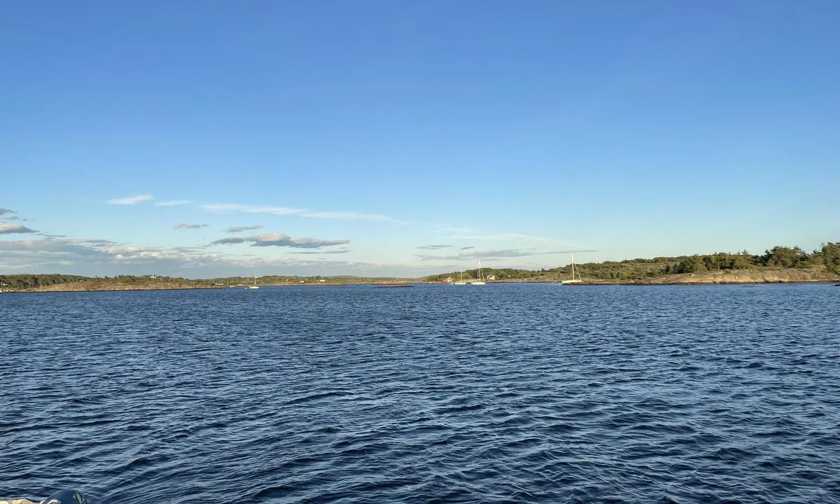 Børholmen: {"base": "no", "no": "Mot s\u00f8r-s\u00f8rvest.", "se": "Mot syd-sydv\u00e4st.", "en": "Towards south-southwest.", "da": "Mod syd-sydvest."}