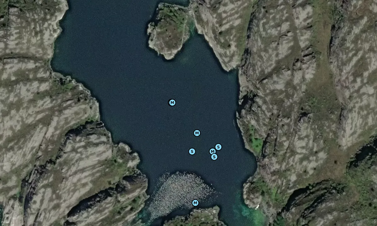 Satelite image of Børøypollen