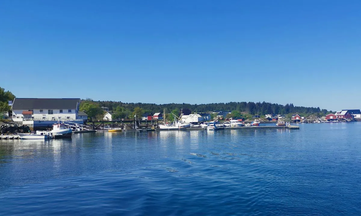 Børøysund Marina: {"base": "no", "no": "B\u00f8r\u00f8ysund gjestehavn.", "se": "B\u00f8r\u00f8ysund g\u00e4sthamn.", "en": "B\u00f8r\u00f8ysund guest harbour.", "da": "B\u00f8r\u00f8ysund g\u00e6stehavn."}