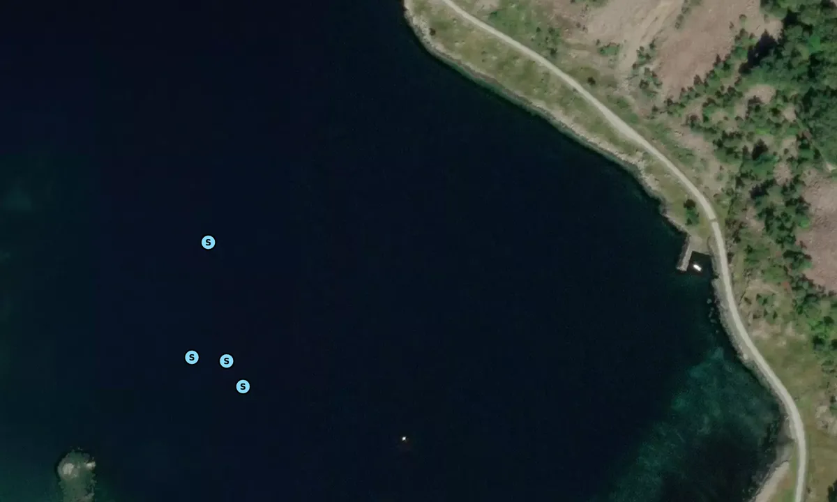 Satelite image of Botane