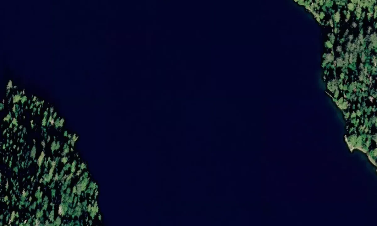 Satelite image of Botany Inlet