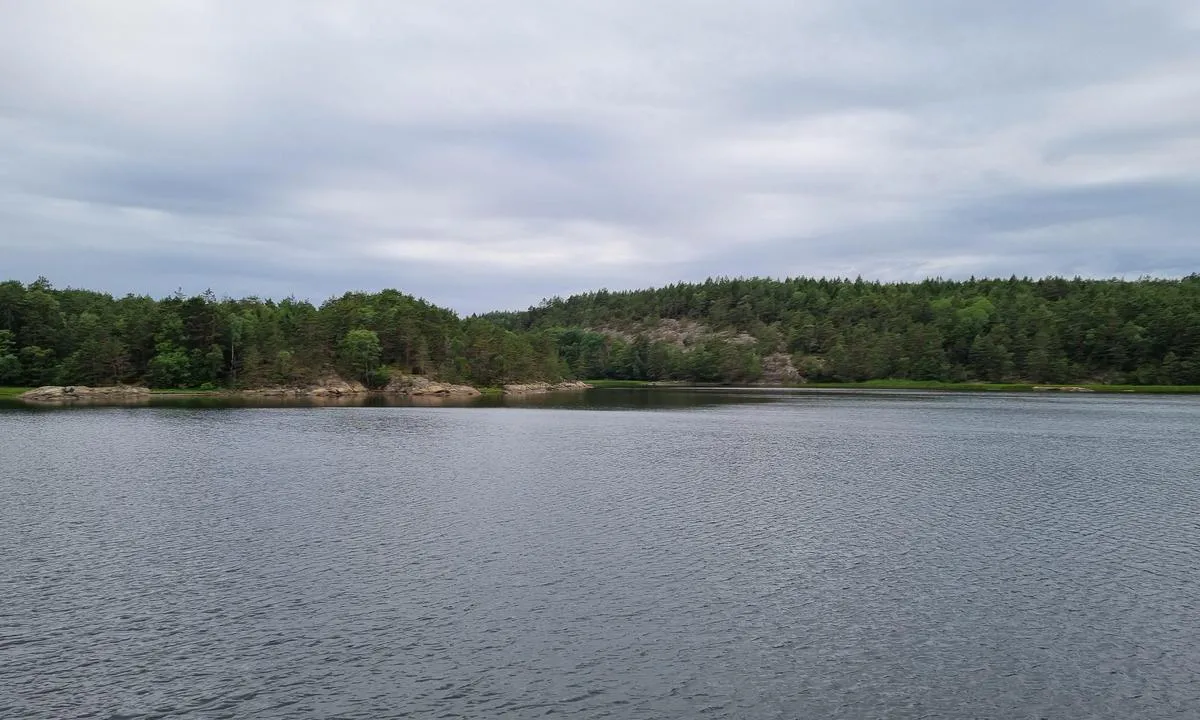 Botnekilen