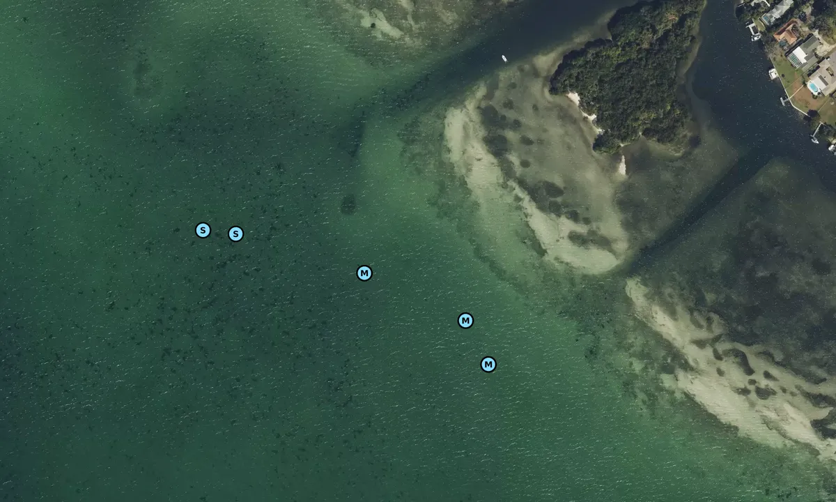 Satelite image of Bowlee's Creek Island