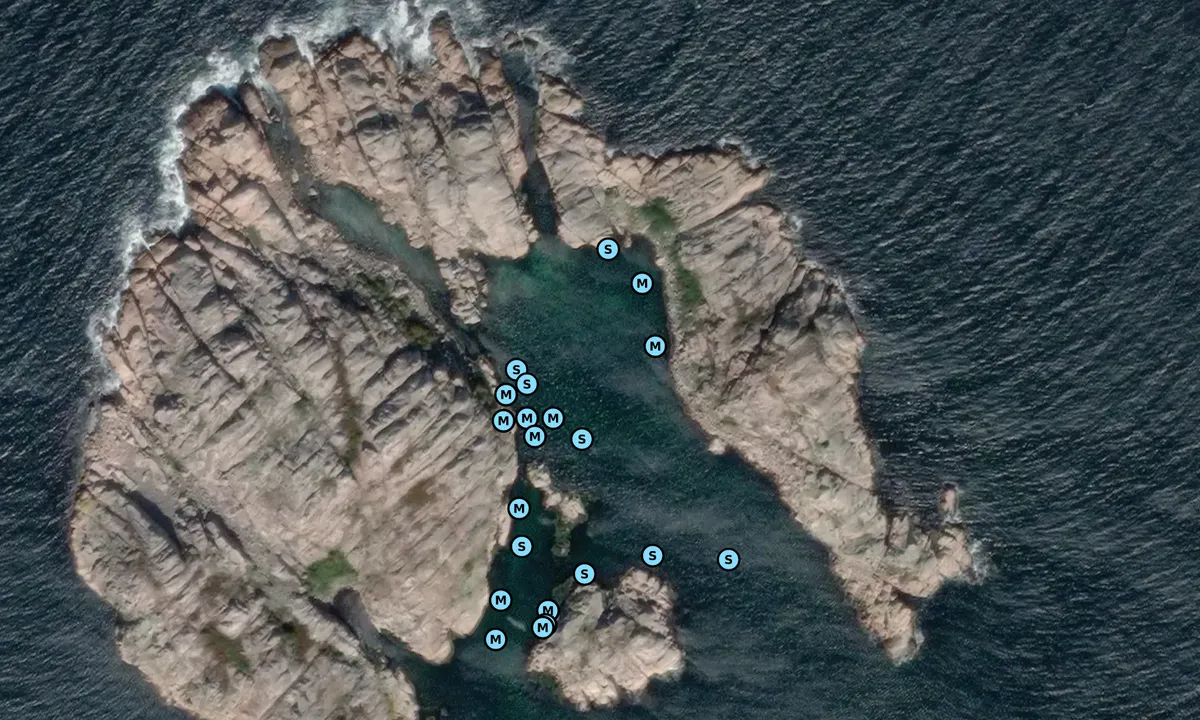 Satelite image of Brandskär - Sotenäs