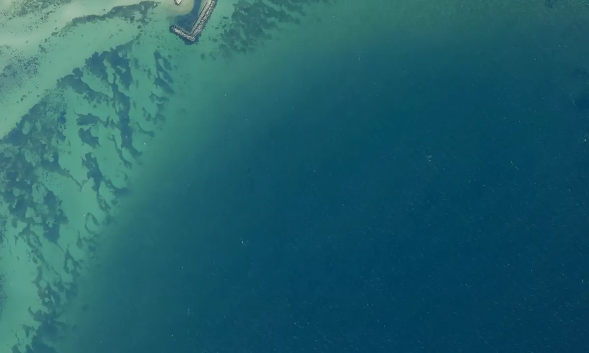 Flyfoto av Brandsø