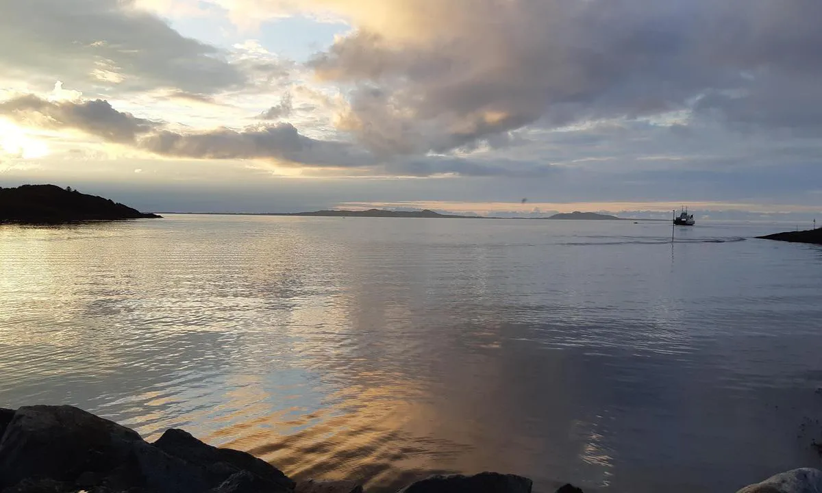 Brattvåg Småbåtforening - Gjestehavn: {"base": "no", "no": "Innseiling til havna, \u00e5pent og fint med god dybde.", "se": "Insegling till hamnen, \u00f6ppen och fin med bra djup.", "en": "Approach to the harbor, open and clear with good depth.", "da": "Indsejling til havnen, \u00e5ben og fin med god dybde."}