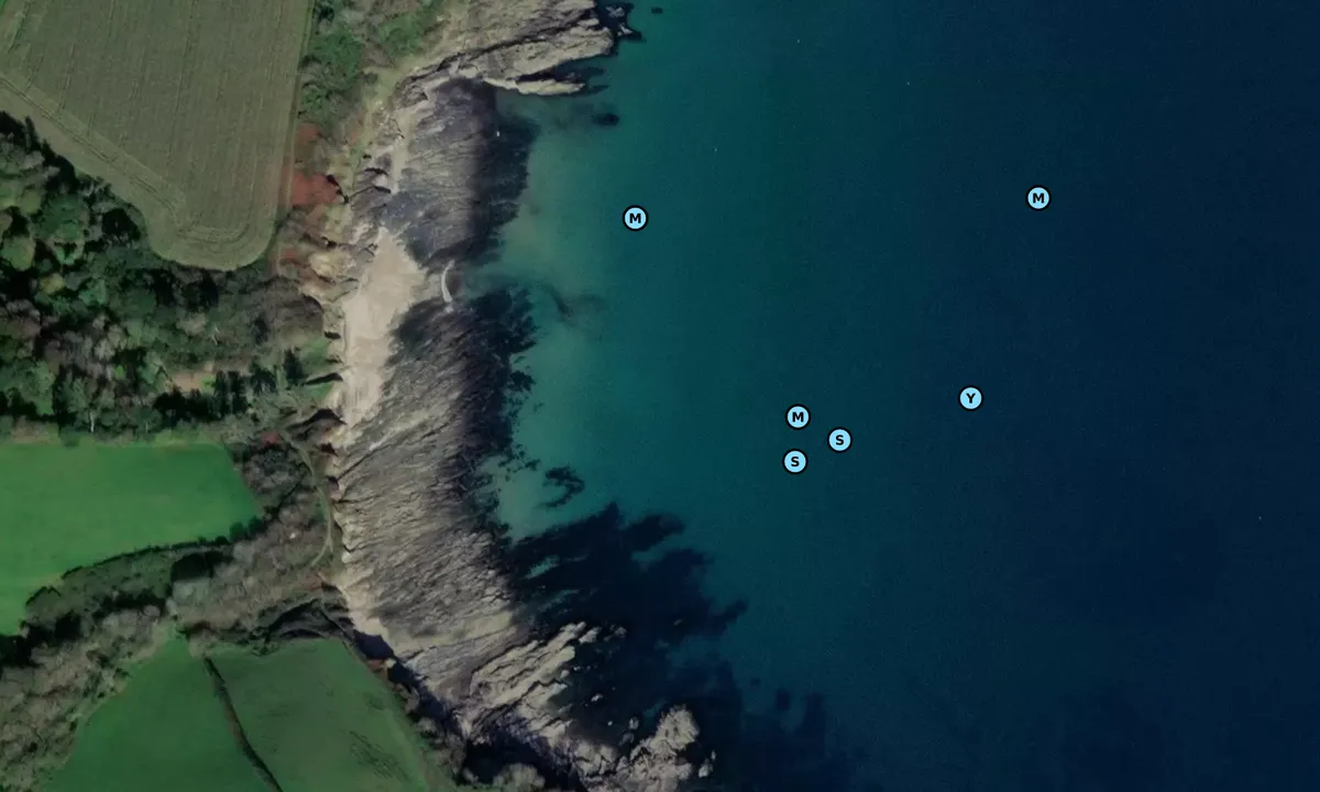 Satelite image of Bream Cove