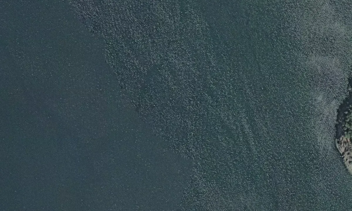Flyfoto av Breezy Bay - Saturna