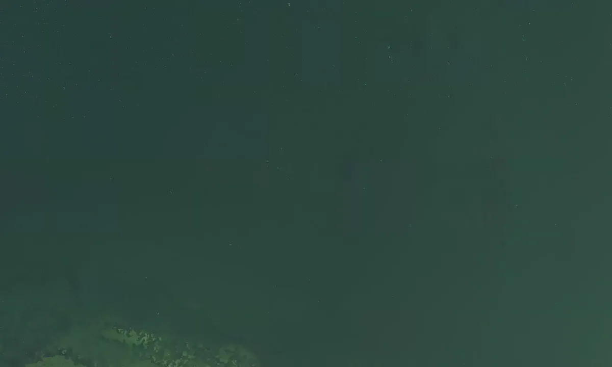 Flyfoto av Bregnor