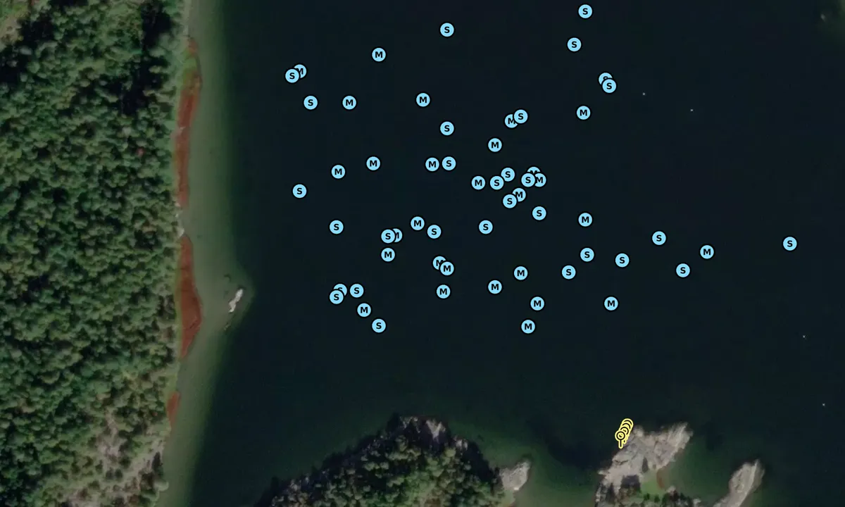 Satelite image of Brennesund