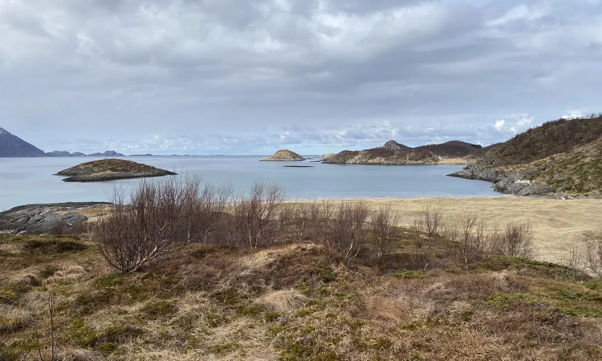 Brennvik: Utsikt mot vest!