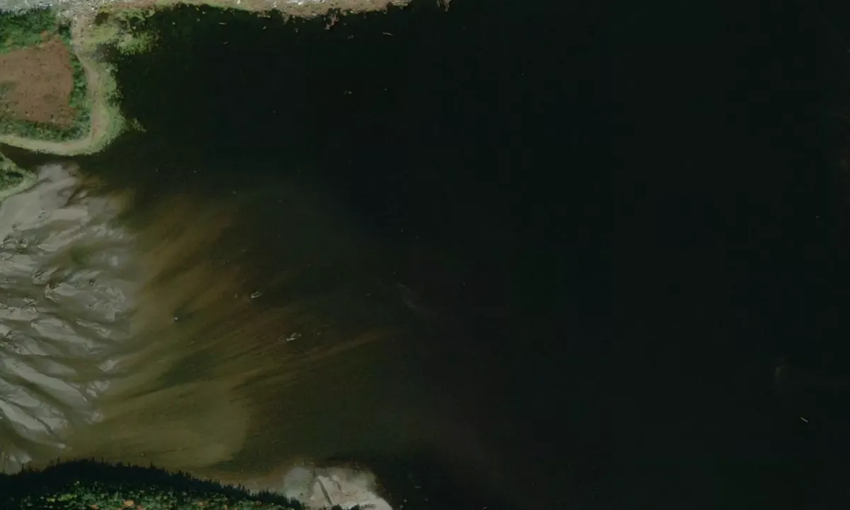 Flyfoto av Brent Cove