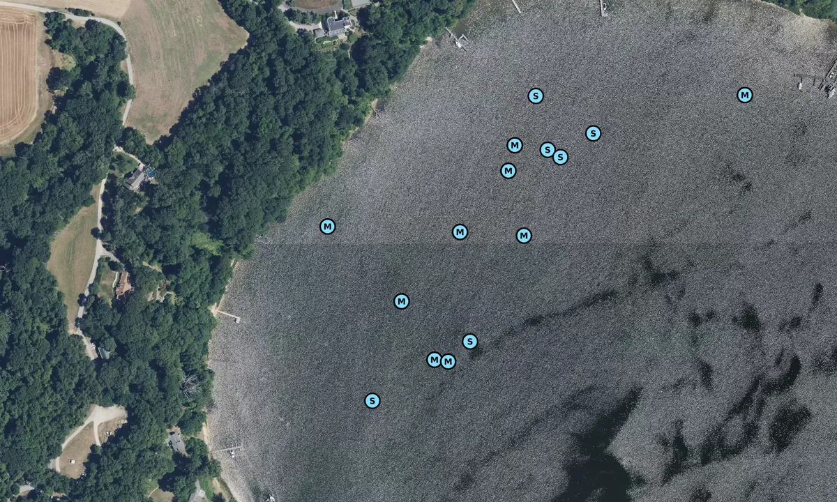 Satelite image of Breton Bay