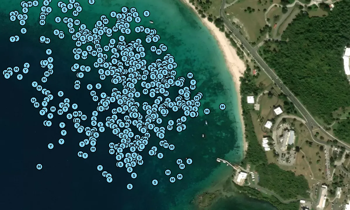 Satelite image of Brewer's Bay